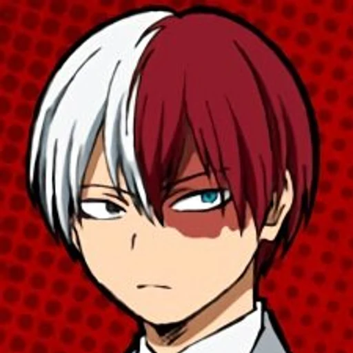 Shoto Todoroki from My Hero Academia