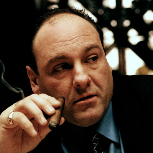 tony soprano from The Sopranos, an AI character on folk