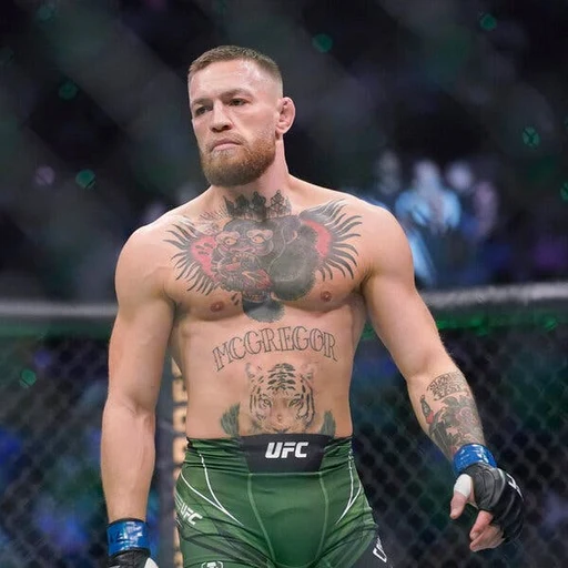 Conor McGregor from Irish UFC mixed martial artist, an AI character on folk