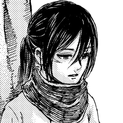 Mikasa from Attack on Titan