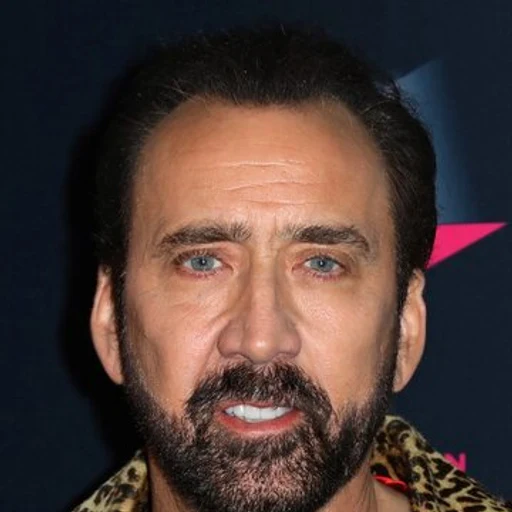 Nicolas cage from American actor and film producer, an AI character on folk