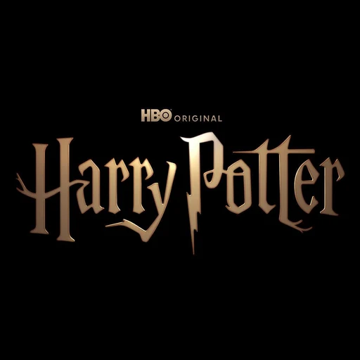 Haarry potter from Harry Potter series