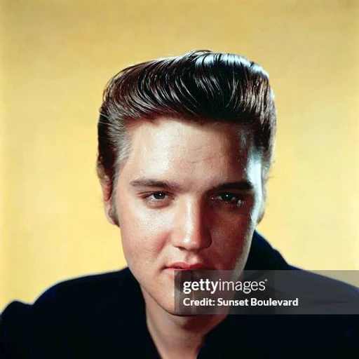 Elvis from American singer and actor, an AI character on folk