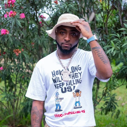 Davido from Nigerian-American Afrobeats singer, an AI character on folk