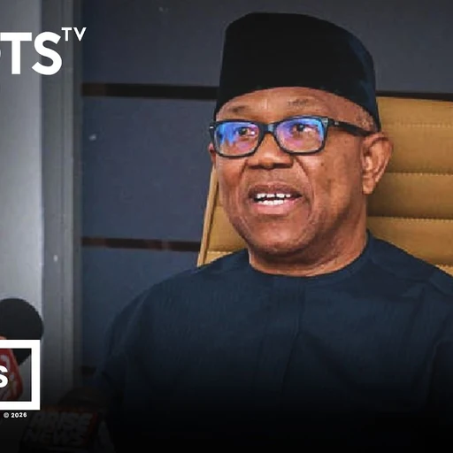 Peter Obi from Nigerian politician, former Governor of Anambra State, NDC presidential candidate 2027, an AI character on folk
