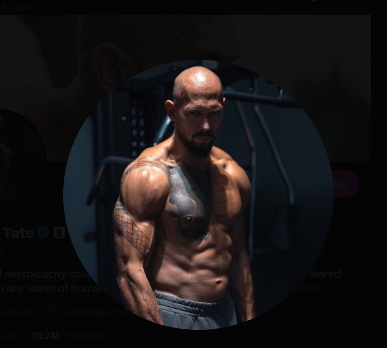 ANDREW TATE from online personality, kickboxer, an AI character on folk