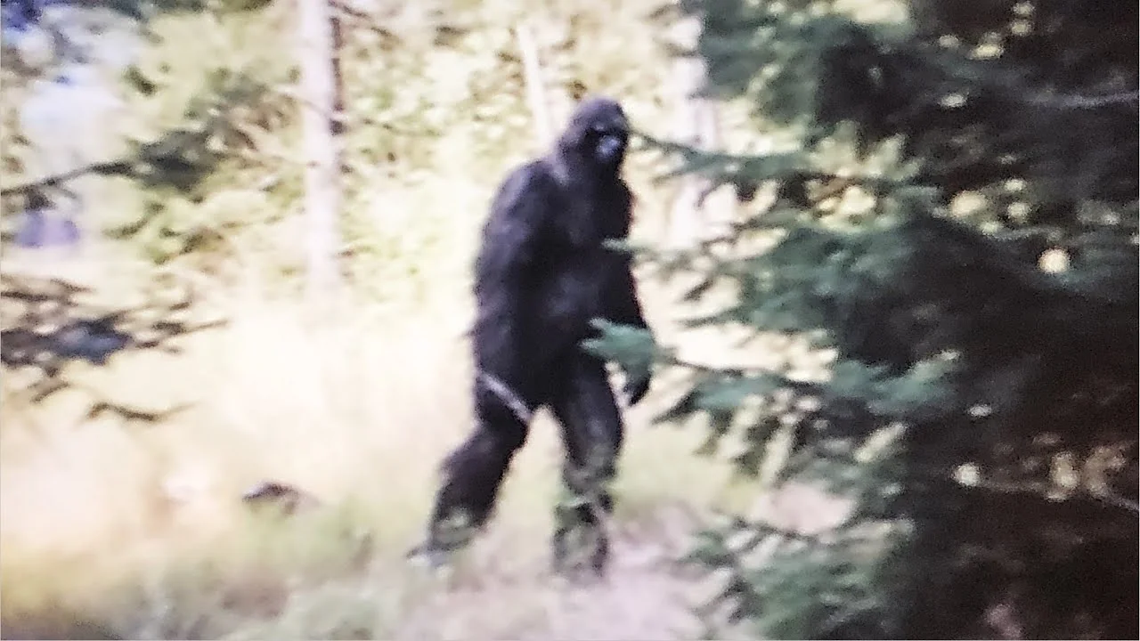 Bigfoot from Sasquatch, North American folklore, an AI character on folk